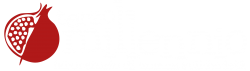 logo_terzo_millennio_bianco-01